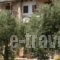 Alexis Villas_best deals_Villa_Aegean Islands_Thasos_Thasos Chora