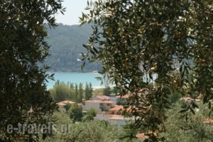 Alexis Villas_travel_packages_in_Aegean Islands_Thasos_Thasos Chora