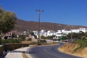 Ostria Studios_holidays_in_Hotel_Cyclades Islands_Andros_Gavrio