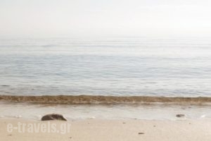 Iliorama Luxury Apartments_best prices_in_Apartment_Aegean Islands_Thasos_Chrysi Ammoudia