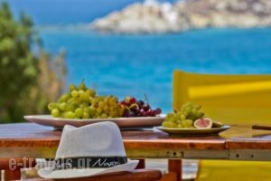 Ydreos Studios & Apartments_accommodation_in_Apartment_Cyclades Islands_Naxos_Mikri Vigla