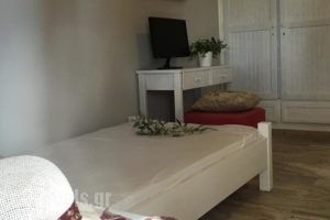 Jenny Boutique Studios_travel_packages_in_Ionian Islands_Kefalonia_Argostoli