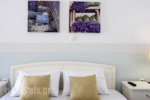 Perivoli Rooms_holidays_in_Room_Cyclades Islands_Paros_Paros Chora