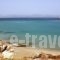 Blue Dolphin_best prices_in_Hotel_Cyclades Islands_Antiparos_Antiparos Chora