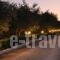 Lennas Villas_lowest prices_in_Villa_Ionian Islands_Zakinthos_Zakinthos Rest Areas