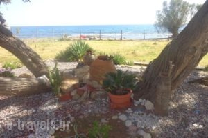 Nicholas Beach Studios_accommodation_in_Hotel_Dodekanessos Islands_Rhodes_Lindos