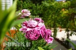 Yulia Studios_s __1