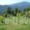 Guesthouse Kapaniaris_best prices_in_Hotel_Thessaly_Magnesia_Portaria