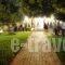 Villa Paradiso_accommodation_in_Villa_Dodekanessos Islands_Rhodes_Pefki
