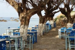 Melani Apartments_best deals_Apartment_Crete_Chania_Daratsos