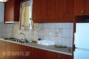 Tzanetos Studios_accommodation_in_Room_Ionian Islands_Zakinthos_Laganas