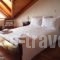 Xenonas Doma_accommodation_in_Hotel_Central Greece_Viotia_Arachova