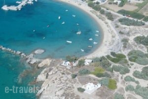 Kalia Studios_holidays_in_Hotel_Cyclades Islands_Naxos_Naxos chora