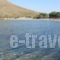 Nikos House_holidays_in_Hotel_Cyclades Islands_Paros_Paros Chora