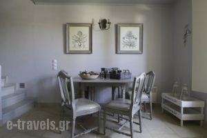 Villa Zoe_holidays_in_Villa_Piraeus islands - Trizonia_Spetses_Spetses Chora