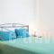 Ocean View Apartment_best prices_in_Apartment_Cyclades Islands_Paros_Paros Chora