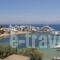 Ocean View Apartment_travel_packages_in_Cyclades Islands_Paros_Paros Chora