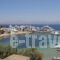 Ocean View Apartment_travel_packages_in_Cyclades Islands_Paros_Paros Chora