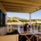 Villas In Alyki_travel_packages_in_Cyclades Islands_Paros_Paros Chora