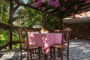 Agroktima Leventis_lowest prices_in_Hotel_Ionian Islands_Kefalonia_Vlachata