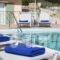 Sarlata Spacious Villa_best deals_Villa_Ionian Islands_Kefalonia_Vlachata
