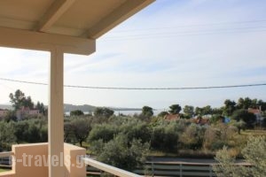 Light Blue Villa_holidays_in_Villa_Peloponesse_Argolida_Kranidi