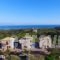Liokrina Luxury Villas_accommodation_in_Villa_Thessaly_Magnesia_Koropi