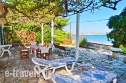 Turtle Beach House_s __1
