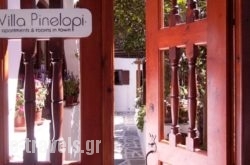 Villa Pinelopi_s __1