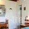 Villa Pinelopi_best deals_Villa_Cyclades Islands_Mykonos_Mykonos ora