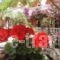 Villasabella_best deals_Villa_Ionian Islands_Zakinthos_Laganas