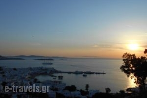 La Veranda of Mykonos Traditional Guesthouse_lowest prices_in_Hotel_Cyclades Islands_Mykonos_Mykonos Chora