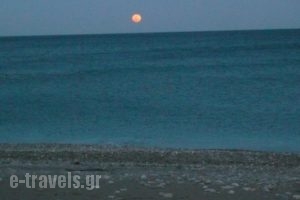 Kozas Studios_best prices_in_Hotel_Dodekanessos Islands_Rhodes_Stegna