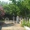 Alba Studio Thassos_lowest prices_in_Hotel_Aegean Islands_Thasos_Thasos Chora