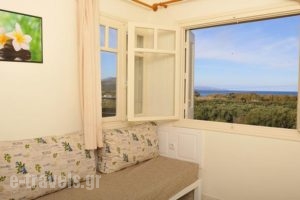 Dialinas Apartments_best prices_in_Apartment_Crete_Lasithi_Kalo Chorio
