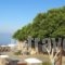 Aegean Panorama_lowest prices_in_Hotel_Cyclades Islands_Tinos_Tinosst Areas