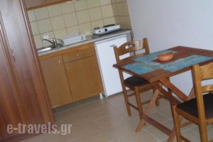 Fotini Studios_best deals_Hotel_Ionian Islands_Lefkada_Vasiliki