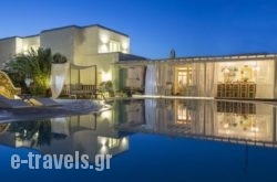 The A Hotel By Mykonos Hontiko_s __1