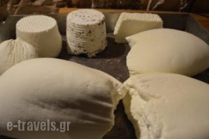 Anemi_best prices_in_Hotel_Epirus_Ioannina_Zitsa