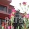Apartments Balaska_travel_packages_in_Peloponesse_Arcadia_Astros