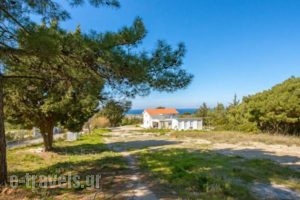 Forest Cottage_travel_packages_in_Dodekanessos Islands_Rhodes_Rhodes Rest Areas
