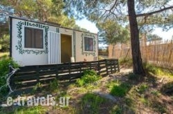 Forest Cottage_s __1