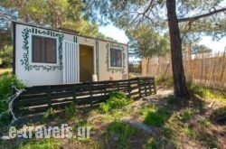 Forest Cottage in Rhodes Rest Areas, Rhodes, Dodekanessos Islands