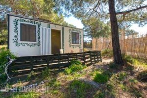 Forest Cottage_accommodation_in_Hotel_Dodekanessos Islands_Rhodes_Rhodes Rest Areas