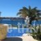 Hotel Dolphin St Giorgio_holidays_in_Hotel_Cyclades Islands_Antiparos_Antiparos Rest Areas