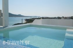 Hotel Dolphin St Giorgio_s __2