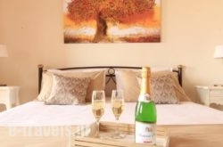 Athanasia'S House_s __1
