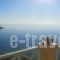 Apollonos Seafront Apartment_accommodation_in_Apartment_Cyclades Islands_Syros_Kini