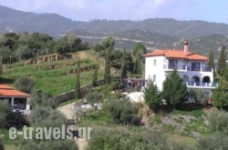 Sartivista_s __1