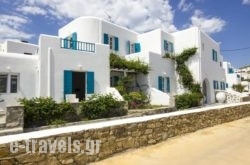 Cyclades Studios in Mykonos Chora, Mykonos, Cyclades Islands